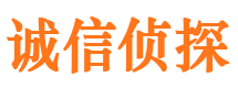 枝江市调查公司